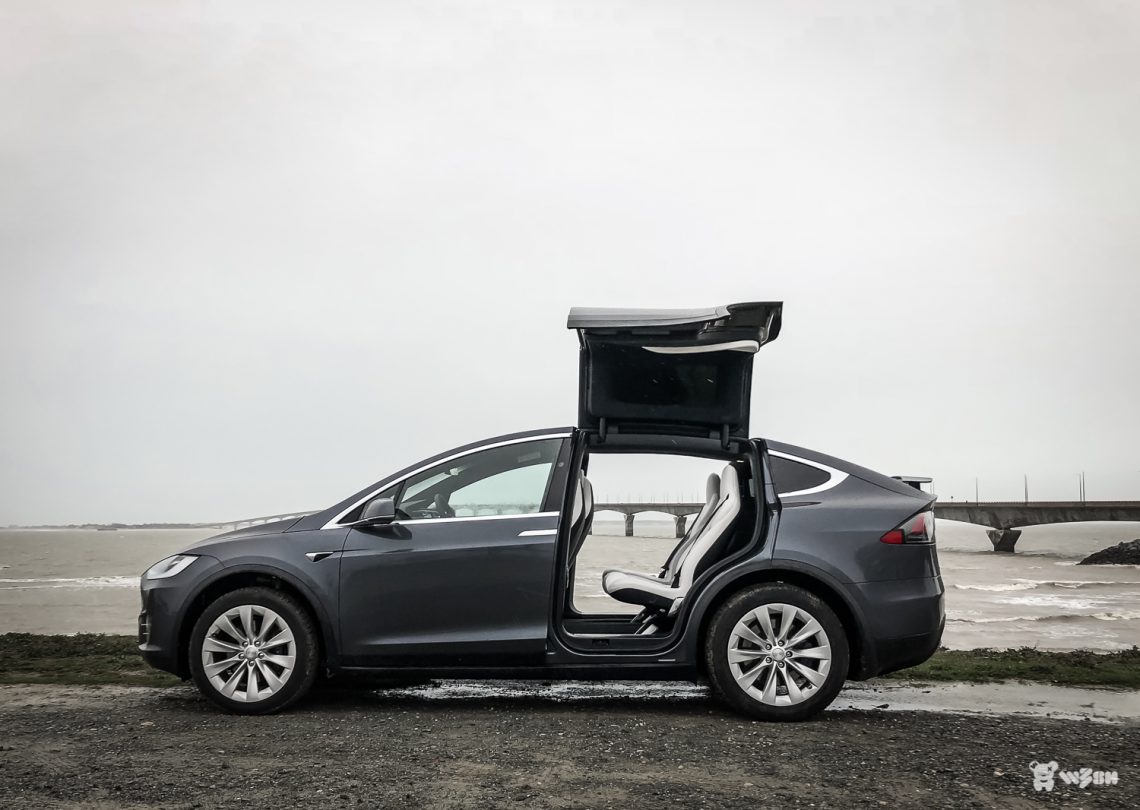 TESLA-Model-X-100D-25