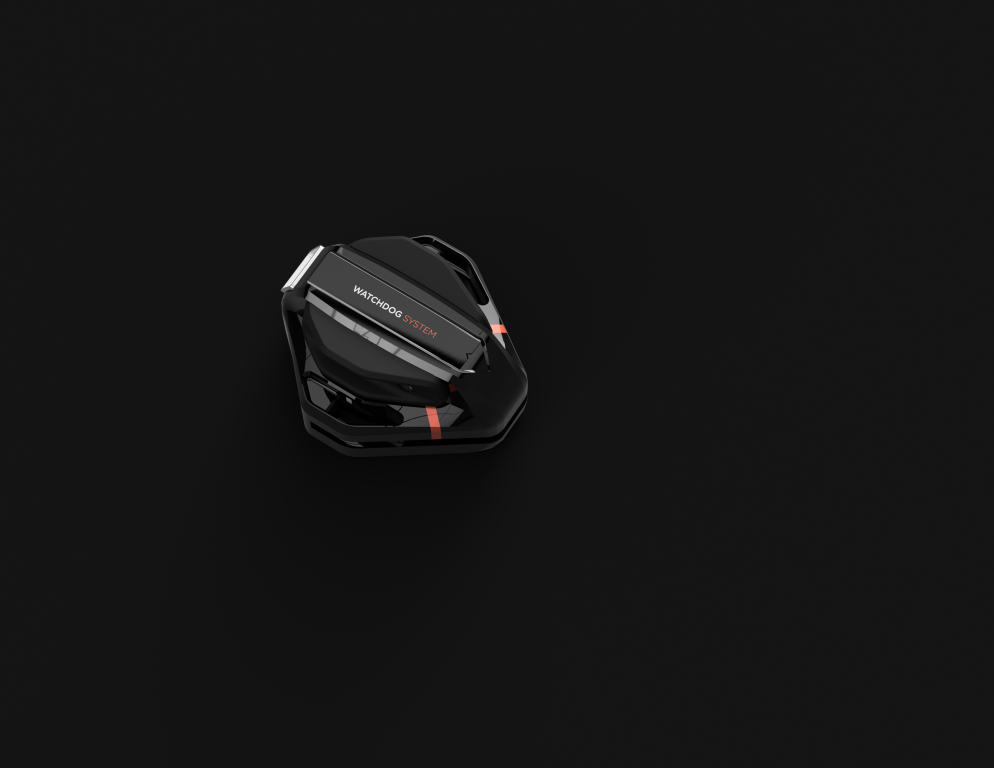 Rendu Watchdog System nu#3