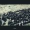W3sh_SeatArona-10