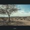 W3sh_SeatArona-179