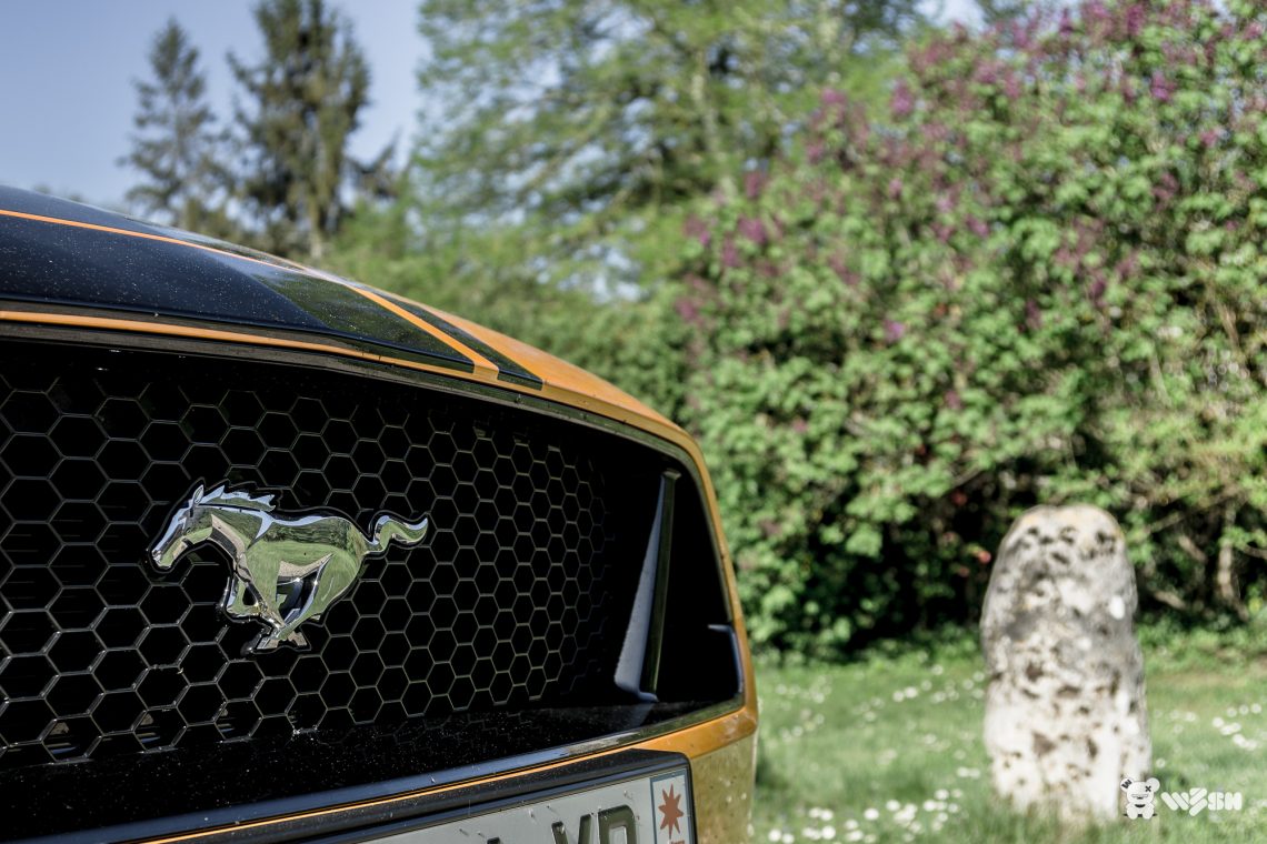 Ford-Mustang-GT-10