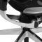 RGo-Max-18_silver-and-white