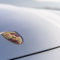 Porsche-Cayenne-Turbo-S-16
