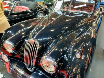 RetroMobile-2020_1348