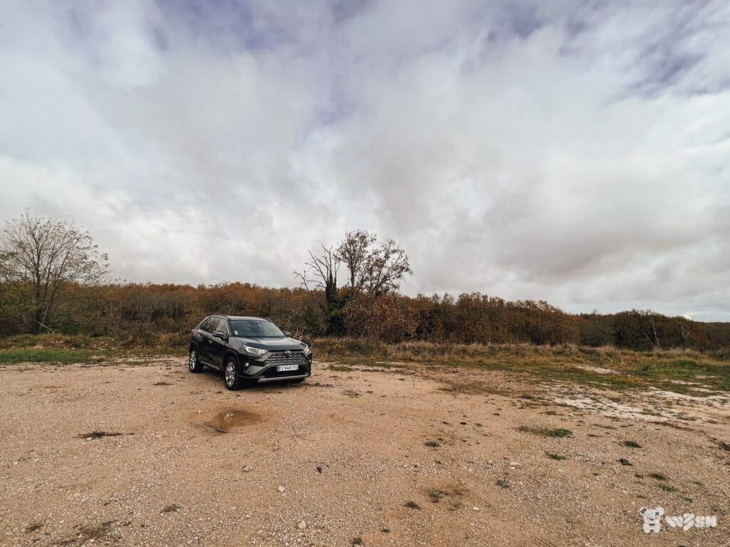W3SH-Toyota-RAV4-1